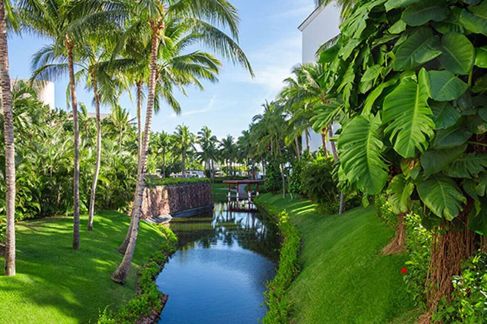 Photo of Outdoor in Isla Iguana