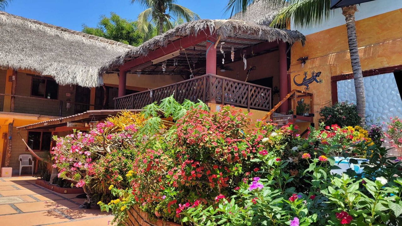 Photo of Outdoor in Brisas de Zicatela
