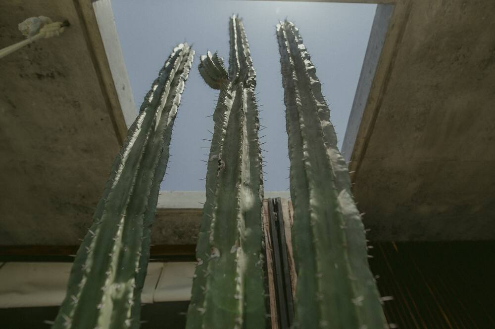 Photo of Others in Puerto Escondido