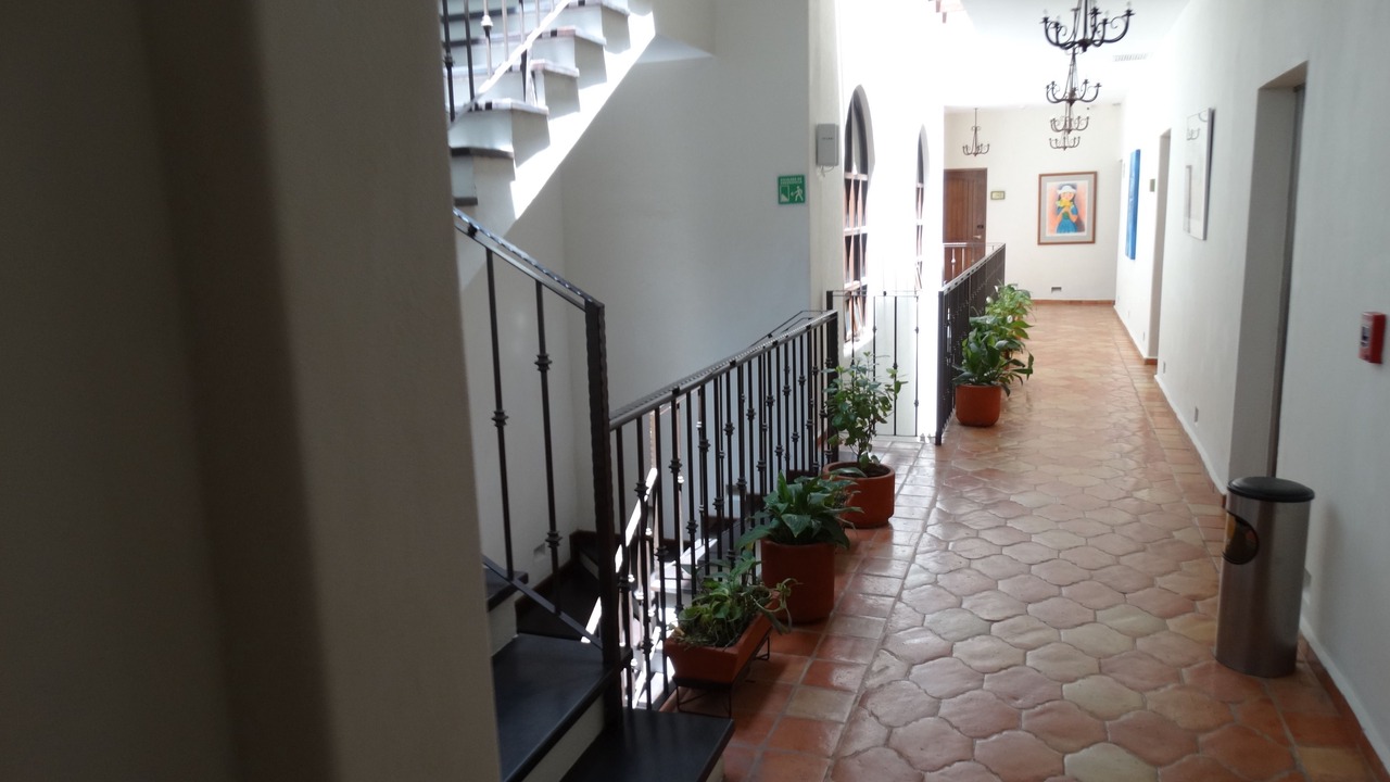 Photo of Others in Todos Santos