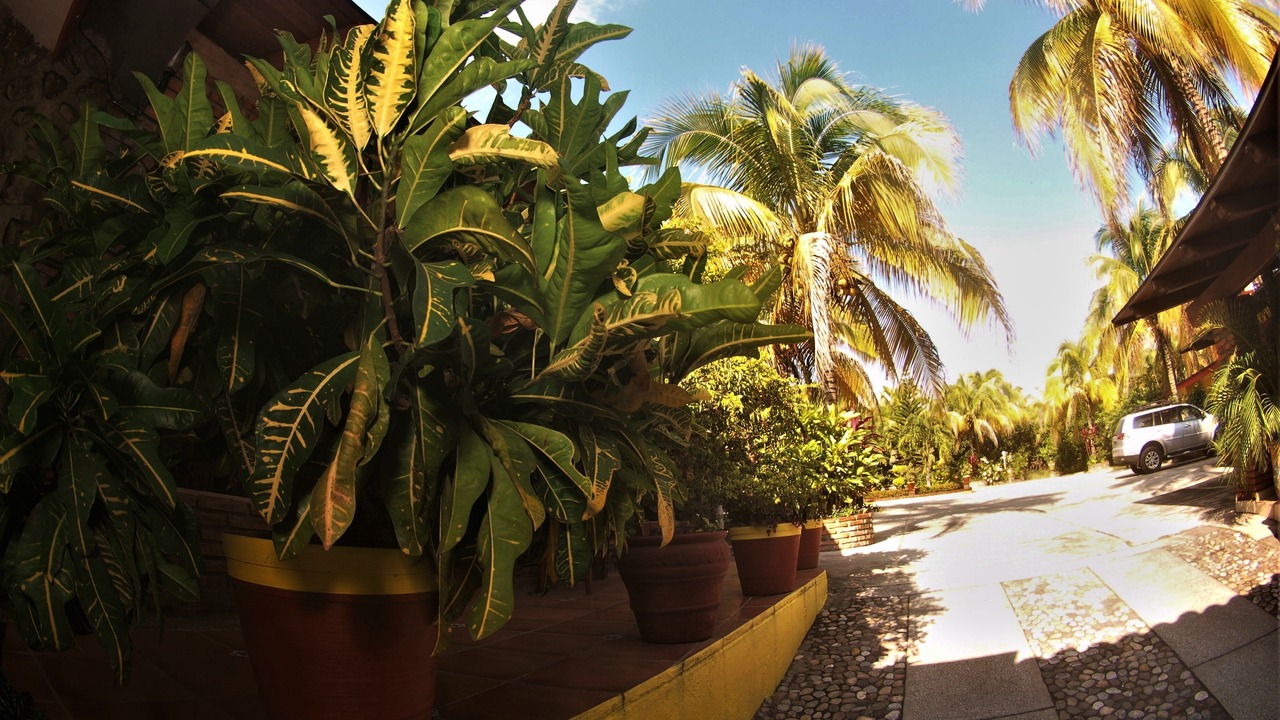 Photo of Outdoor in Comala