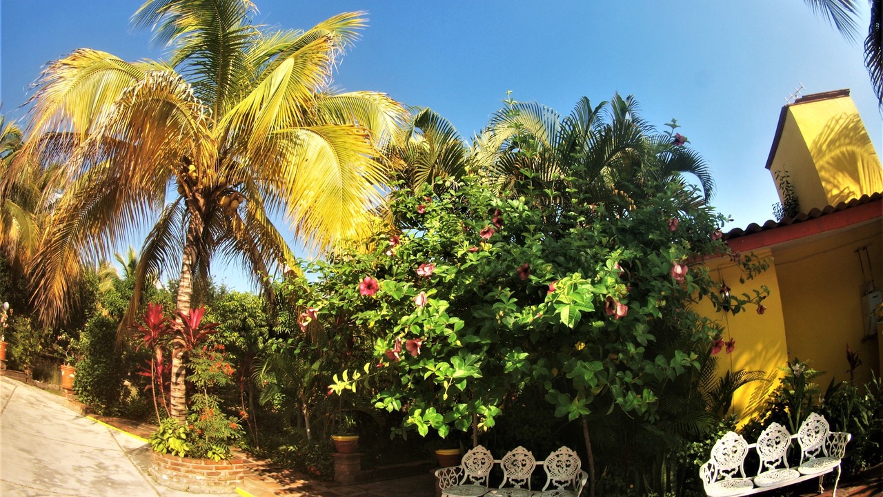 Photo of Outdoor in Comala