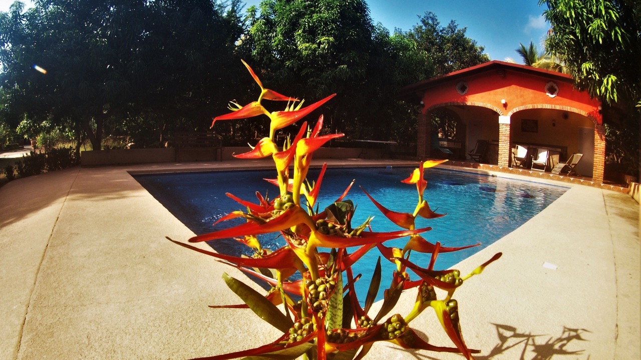 Photo of Outdoor in Comala