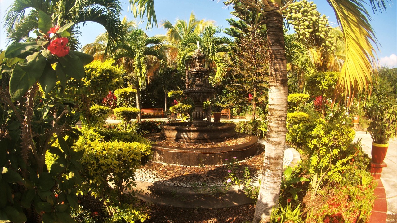 Photo of Outdoor in Comala