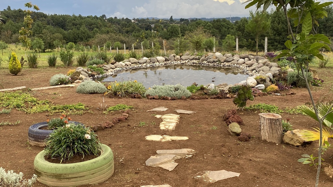 Photo of Outdoor in Zacatlan