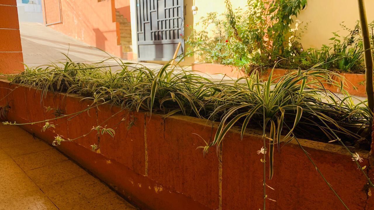 Photo of Outdoor in Quetzaltenango