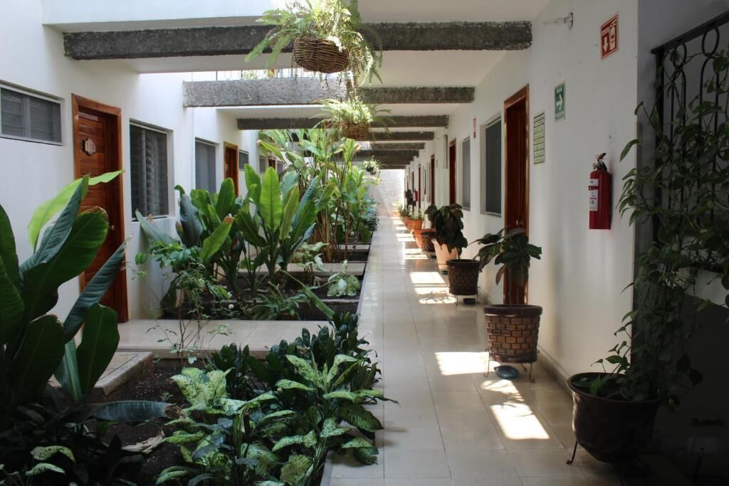Photo of Outdoor in Tuxtla Gutierrez