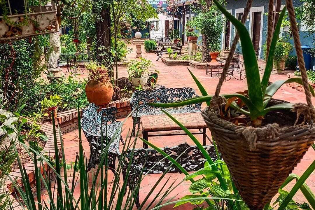 Photo of Outdoor in Monclova