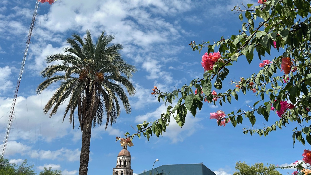 Photo of Outdoor in Monclova