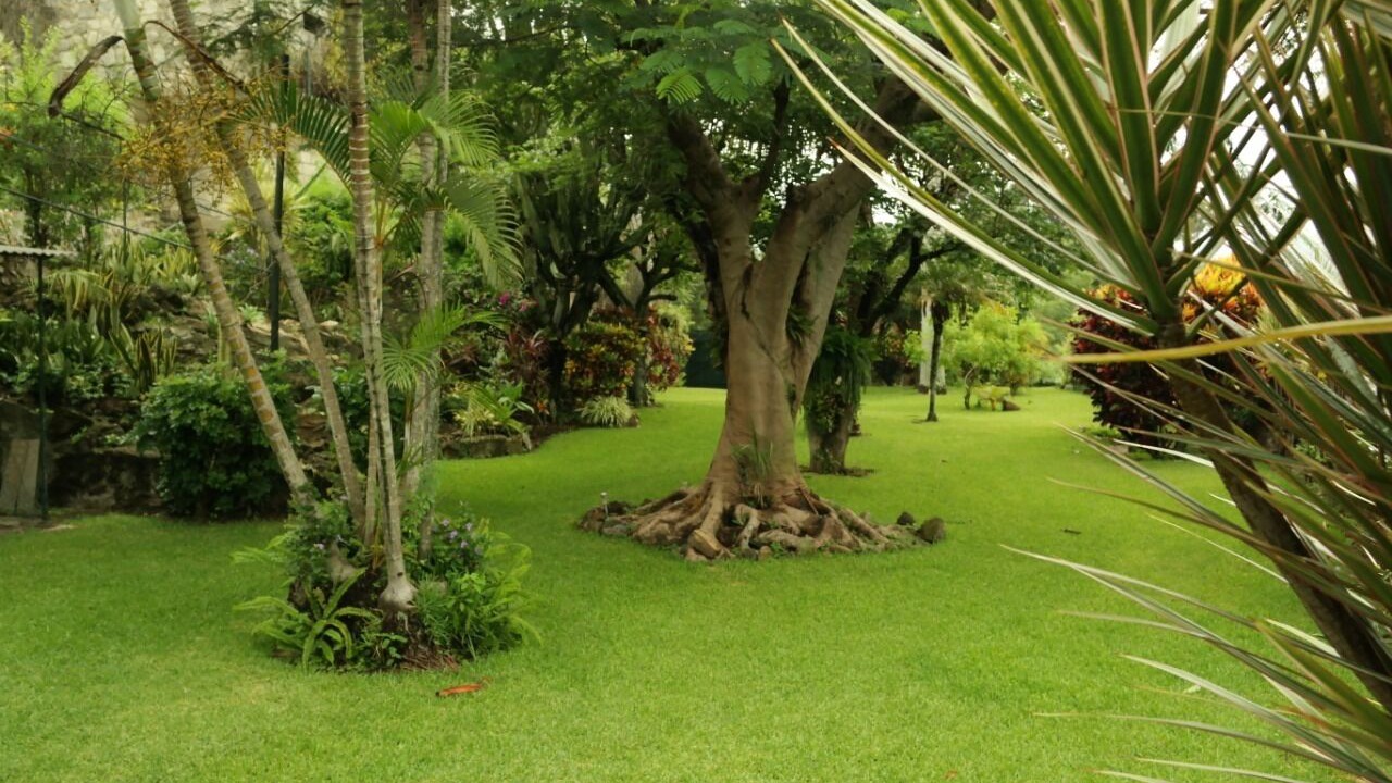 Photo of Outdoor in Amatitlan
