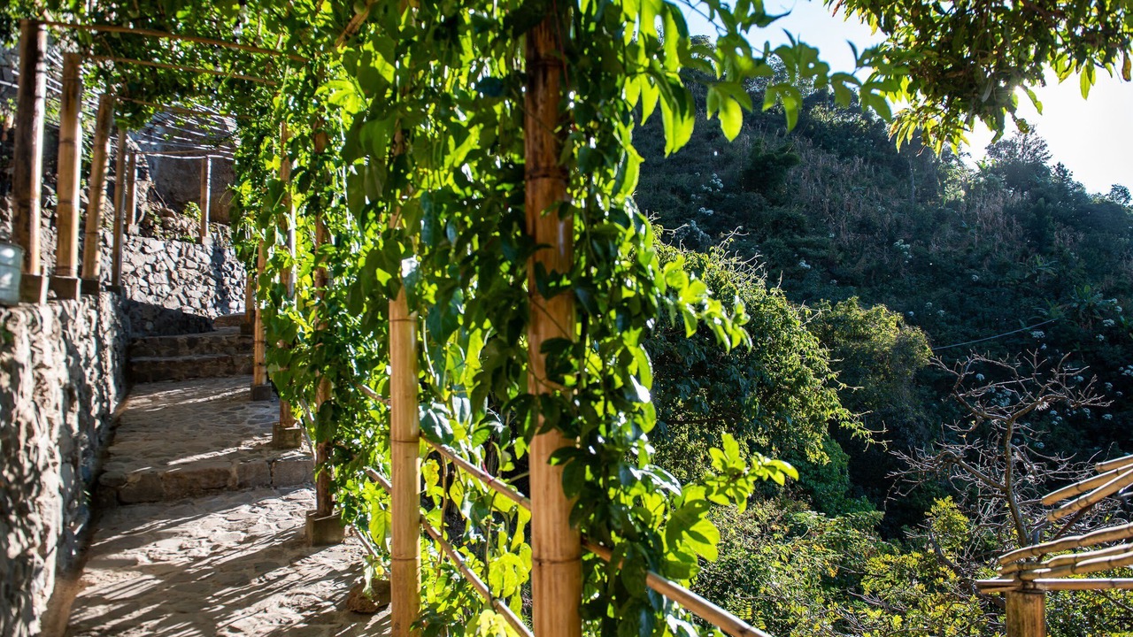 Photo of Outdoor in Tzununa