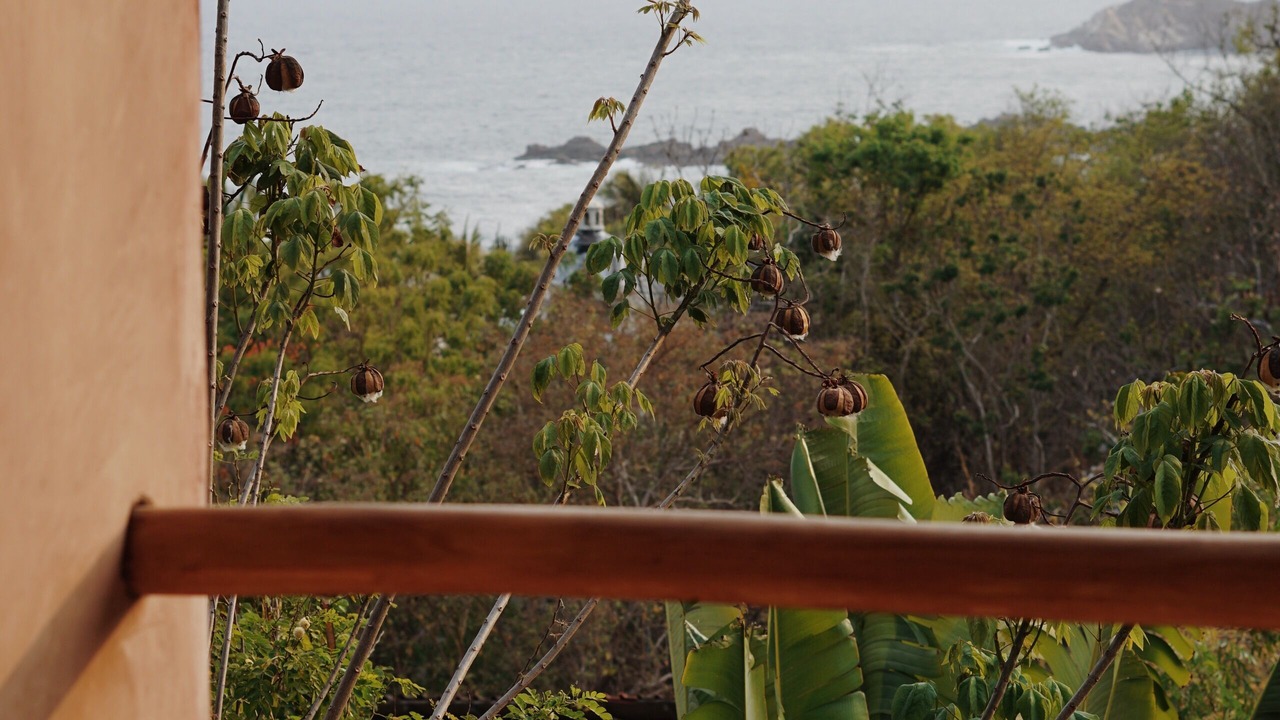 Photo of Others in San Agustinillo