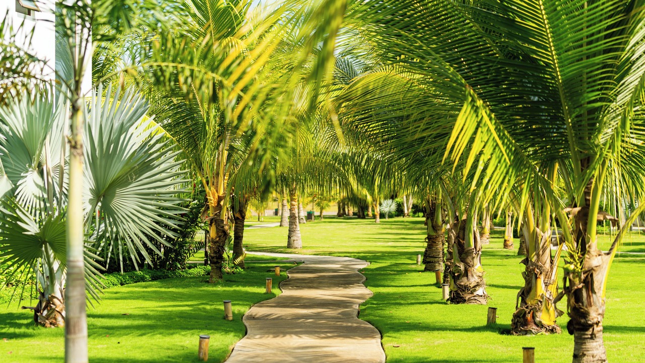 Photo of Outdoor in Monterrico