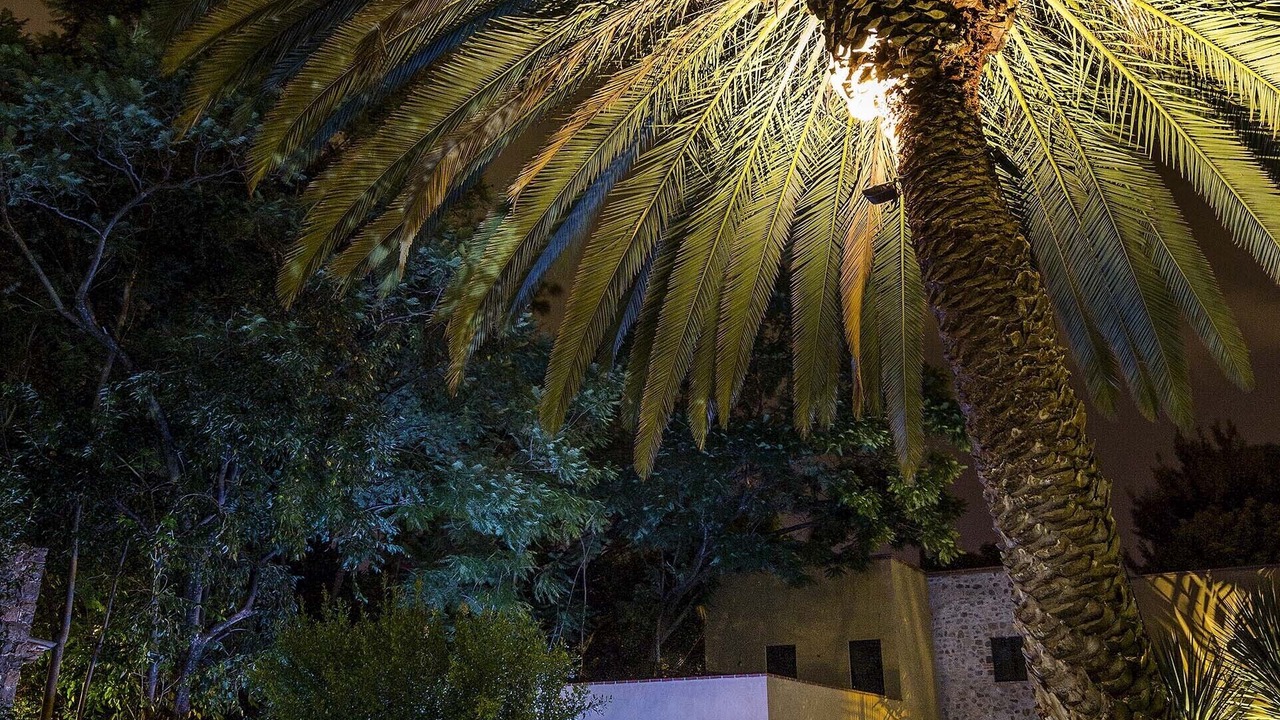Photo of Outdoor in San Miguel de Allende
