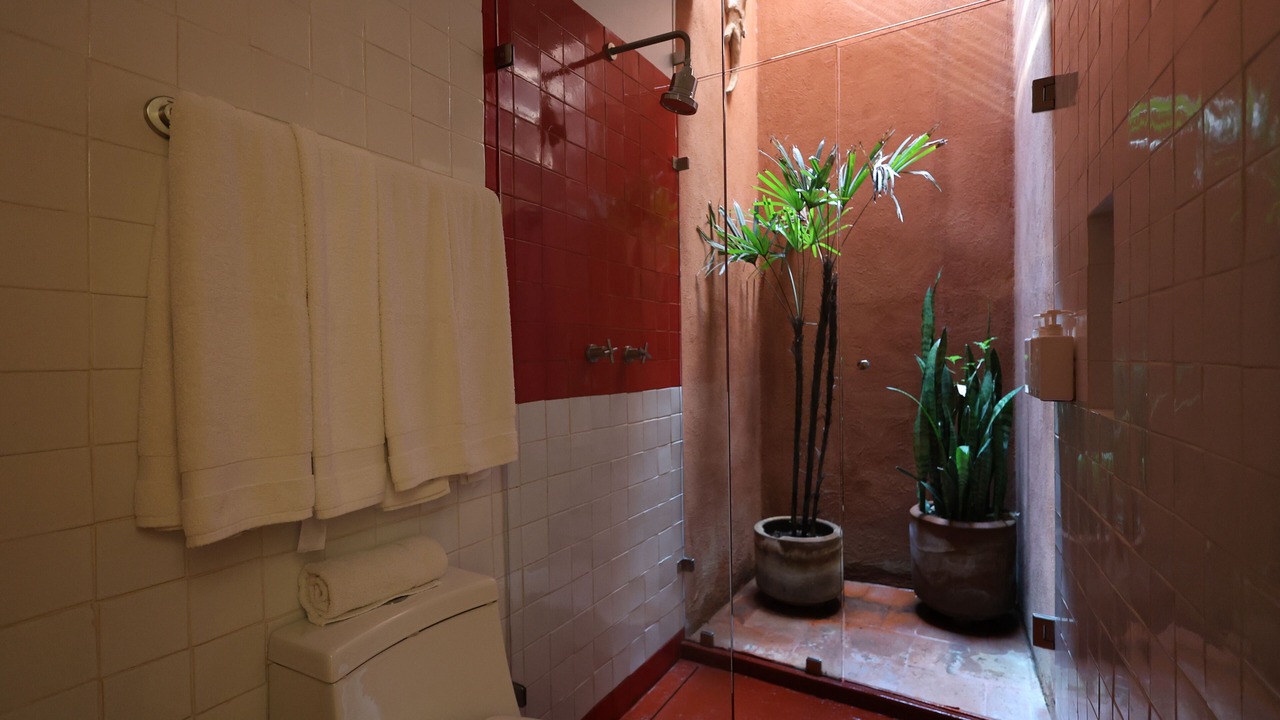 Photo of Bathroom in Calzada Madero