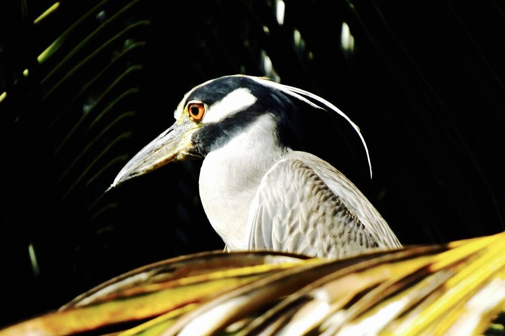 Photo of Others in Puerto Barrios