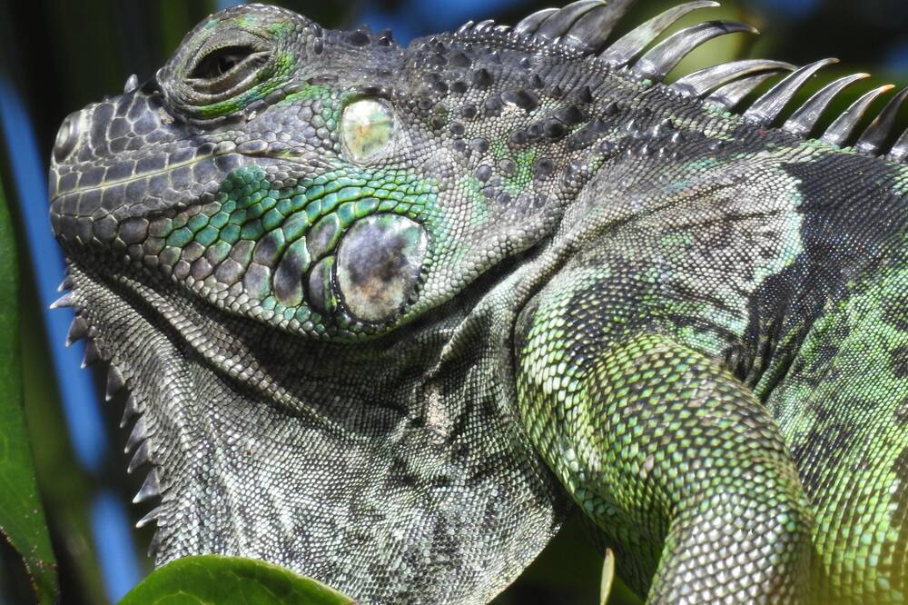 Photo of Others in Puerto Barrios