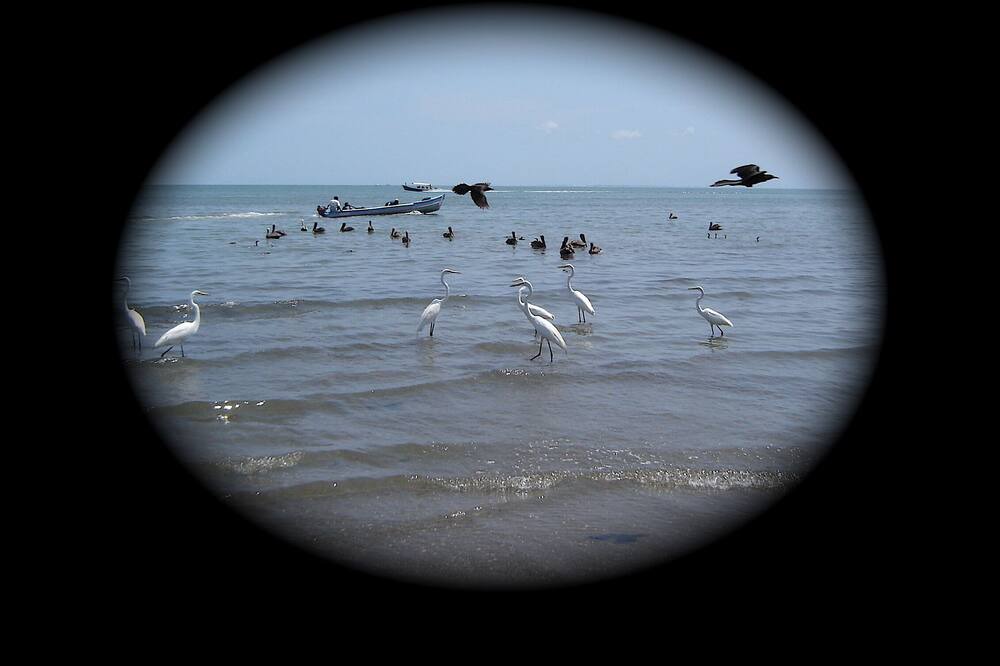 Photo of Others in Puerto Barrios