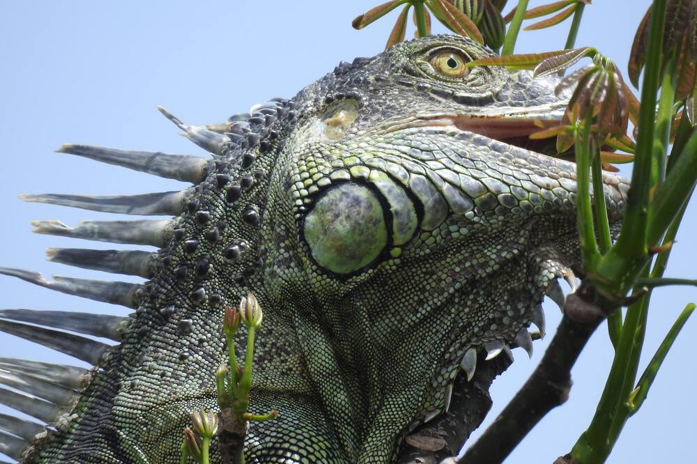Photo of Outdoor in Puerto Barrios