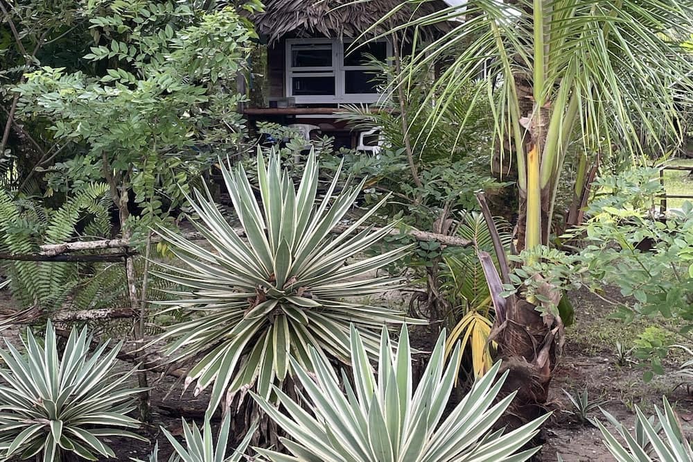 Photo of Outdoor in Puerto Barrios
