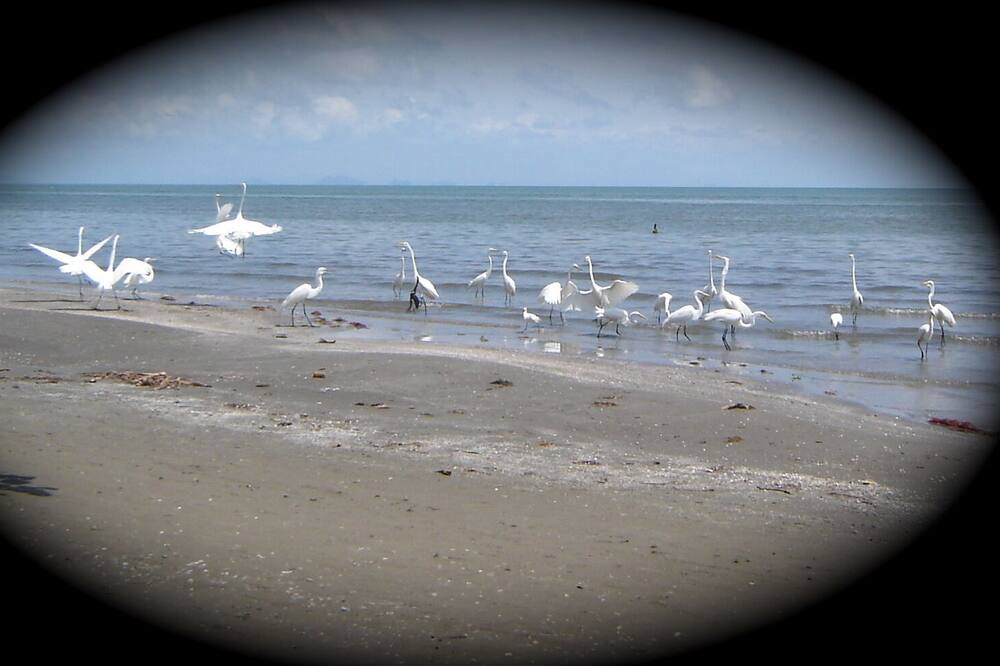 Photo of Others in Puerto Barrios