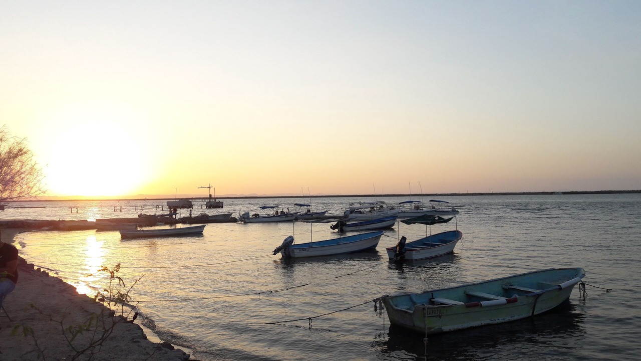 Photo of Outdoor in El Manglito