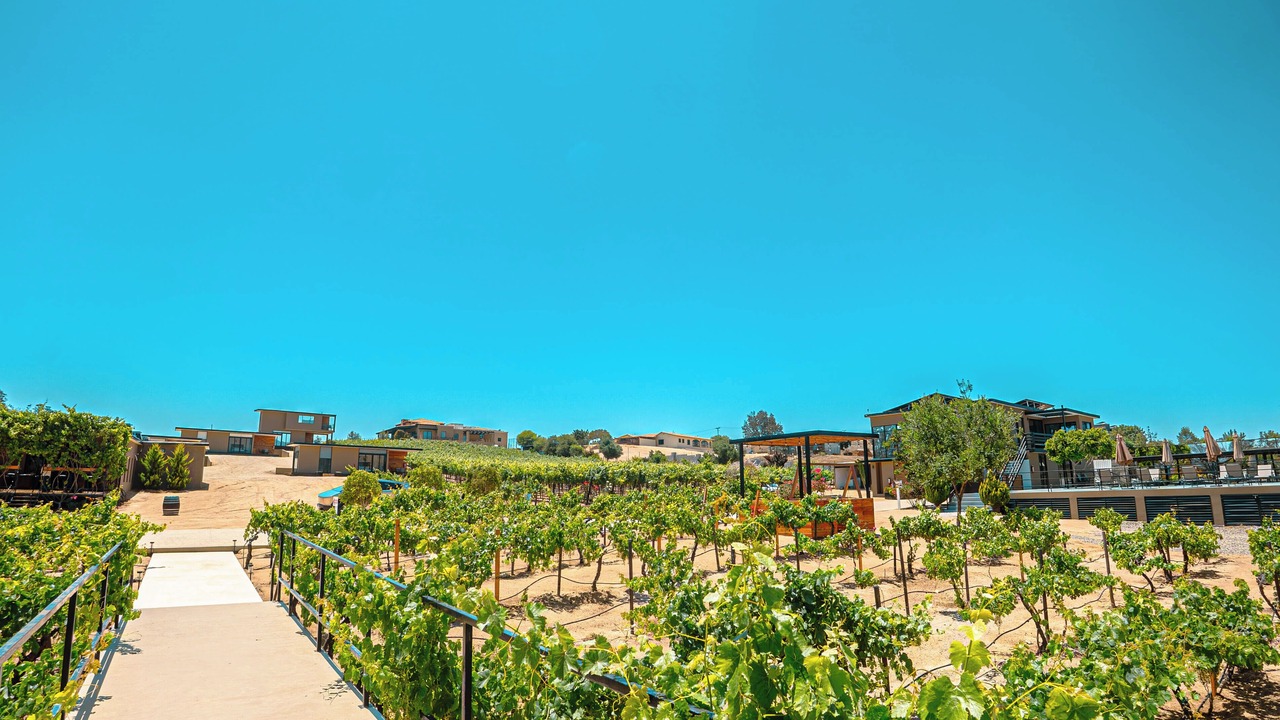 Photo of Outdoor in Valle de Guadalupe