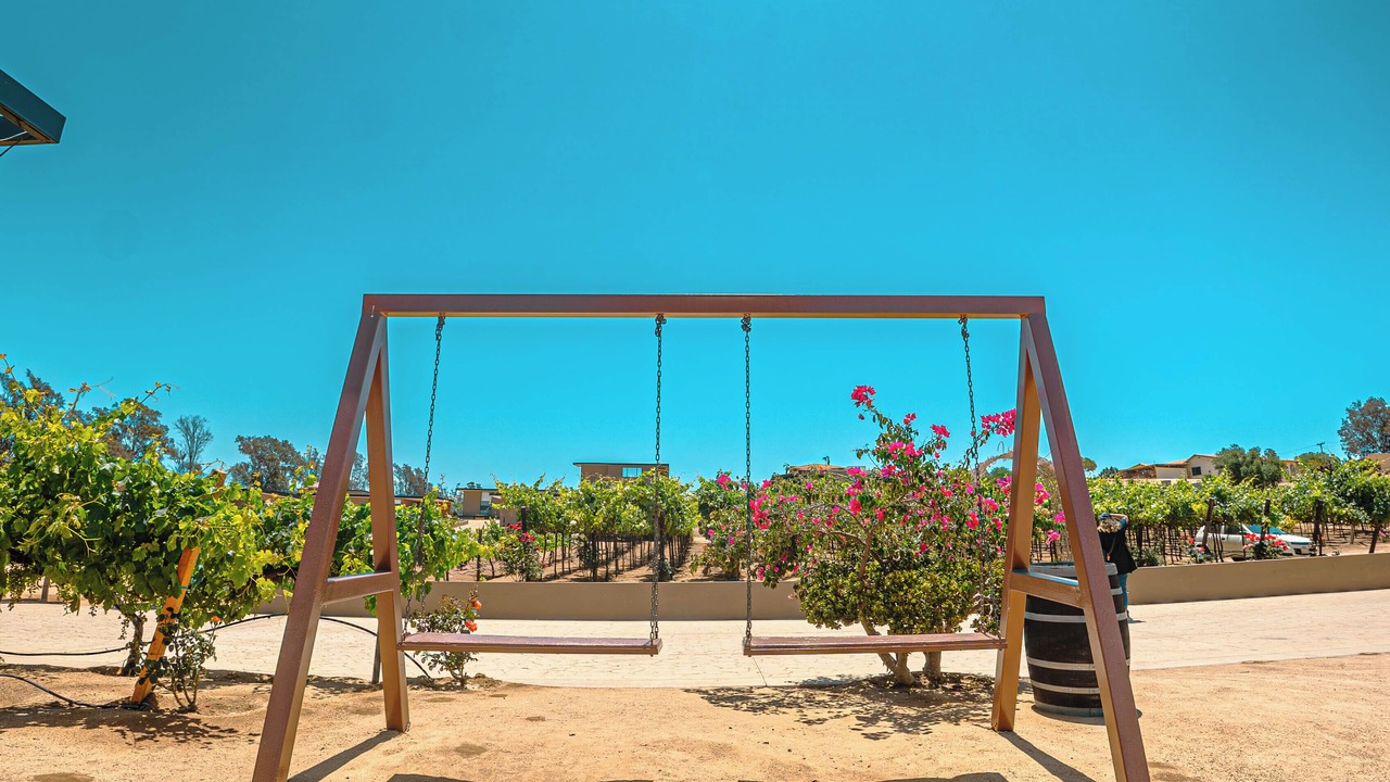 Photo of Outdoor in Valle de Guadalupe