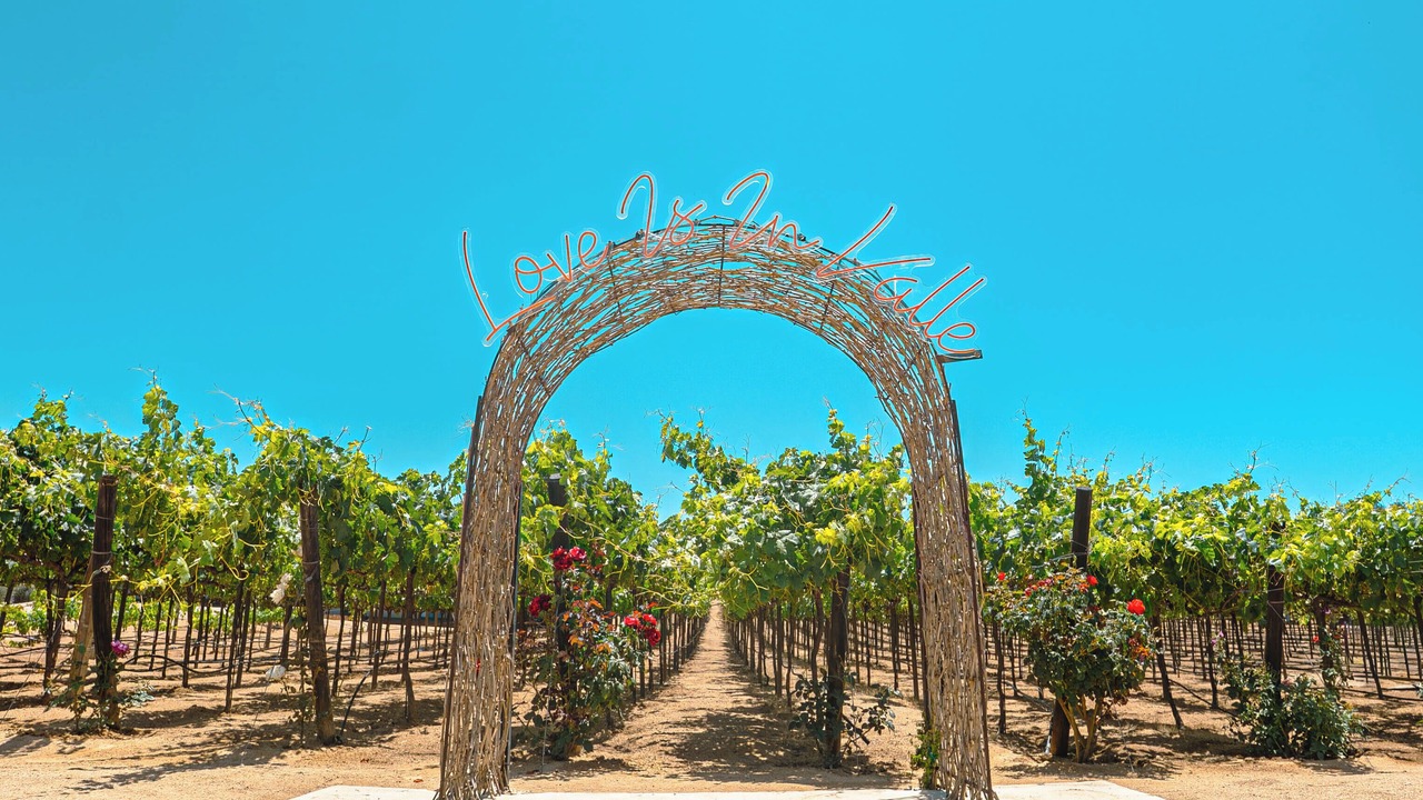 Photo of Outdoor in Valle de Guadalupe