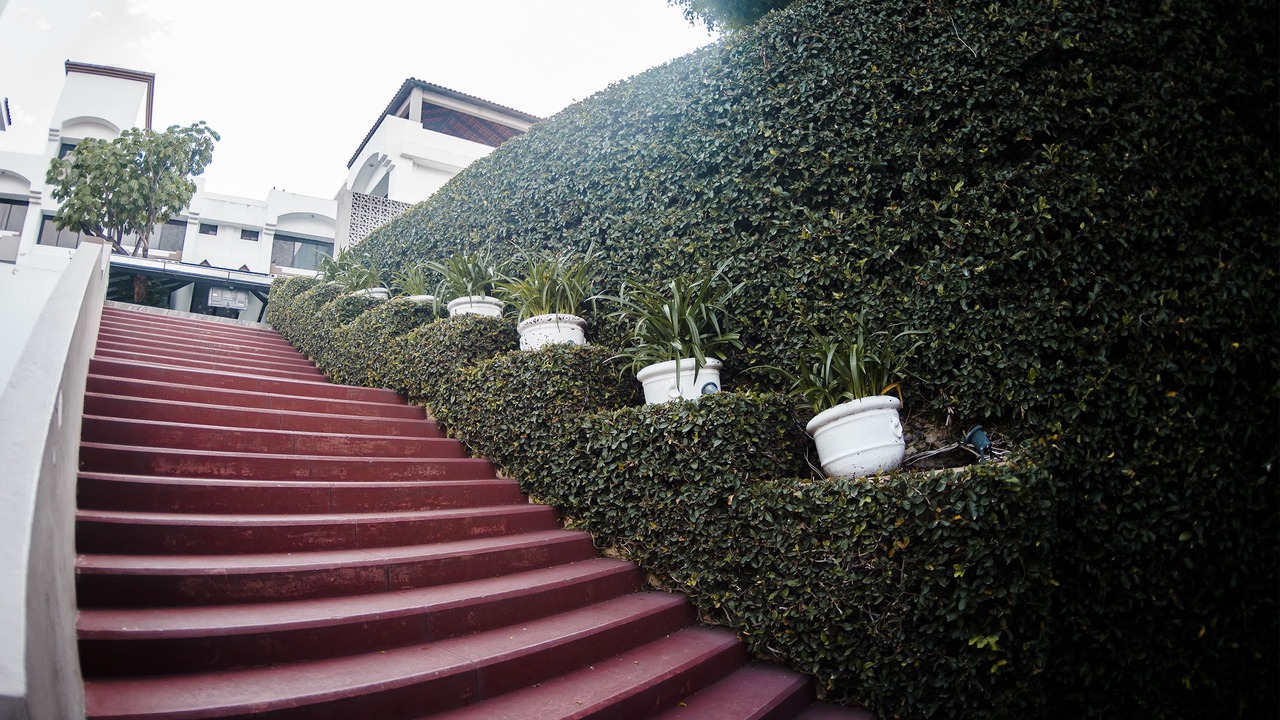 Photo of Outdoor in Tepic