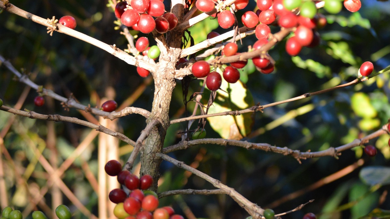 Photo of Outdoor in San Juan La Laguna