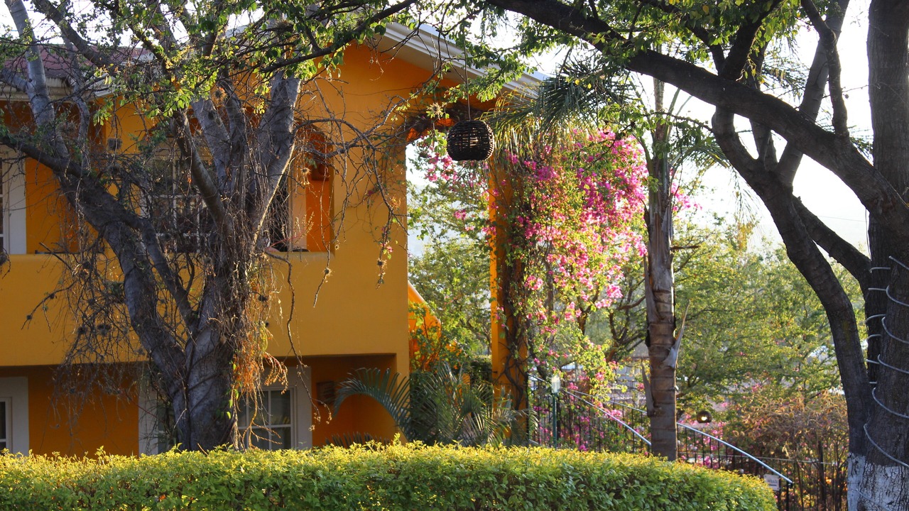 Photo of Outdoor in Ninos Heroes