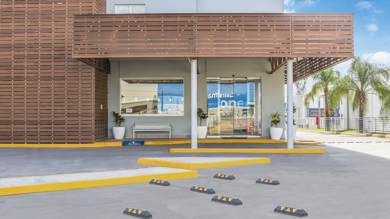 Photo of Others in Guadalajara