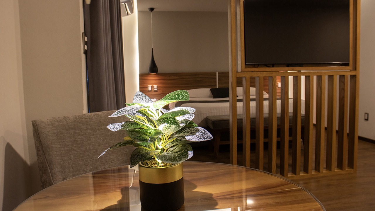 Photo of Bedroom in Las Americas