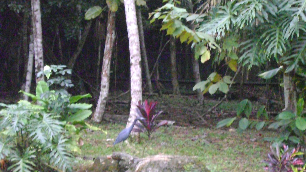 Photo of Outdoor in Santa Elena