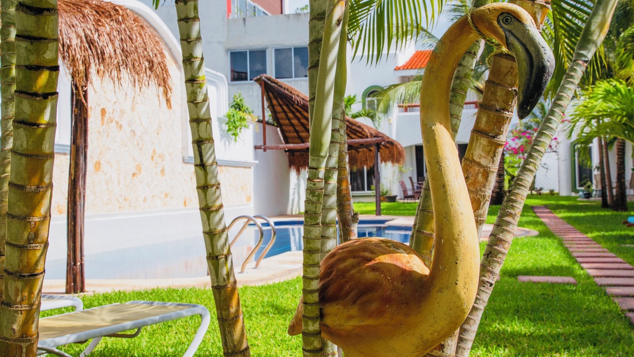Photo of Patio Balcony in Playacar
