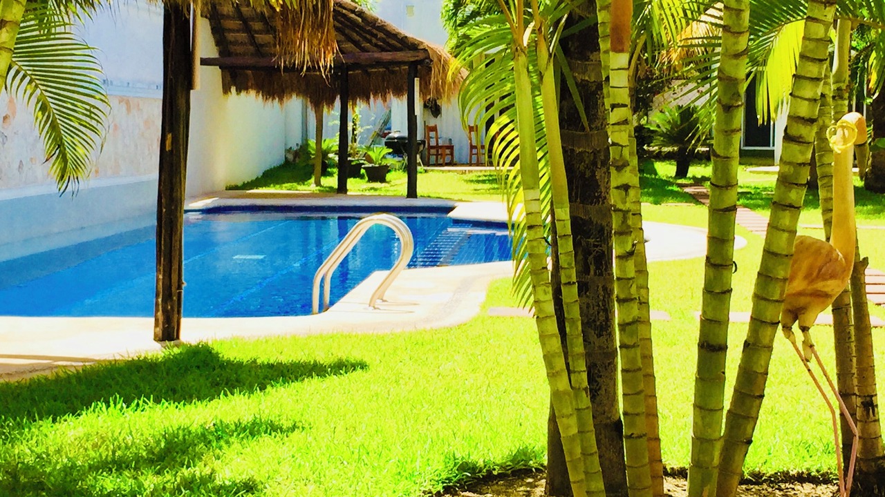 Photo of Patio Balcony in Playacar