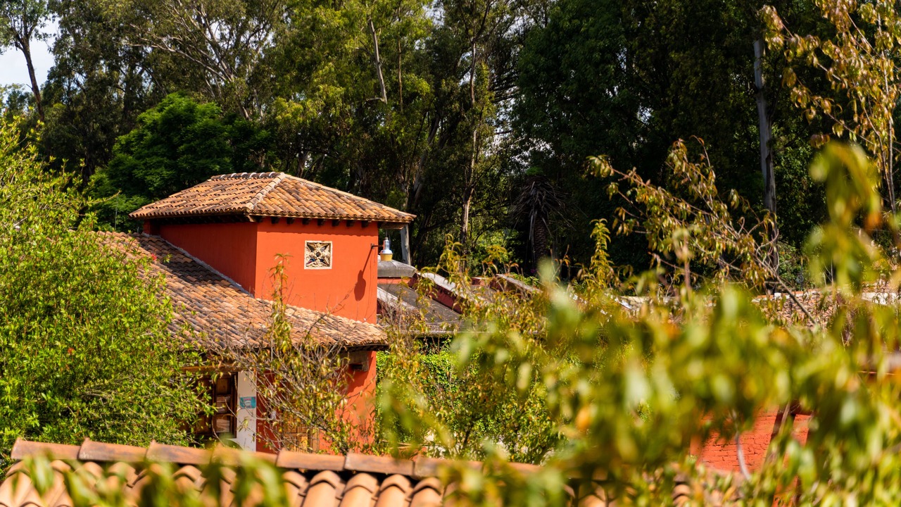 Photo of Others in Patzcuaro