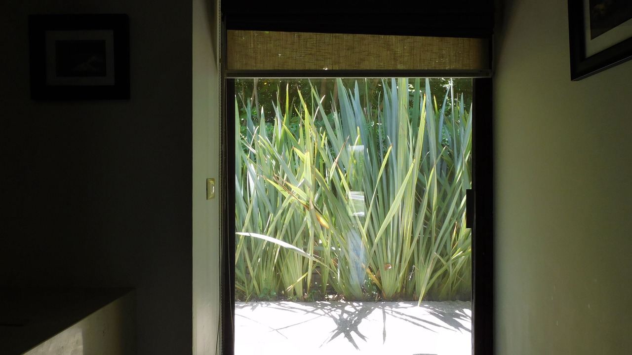 Photo of Bedroom in Atlixco