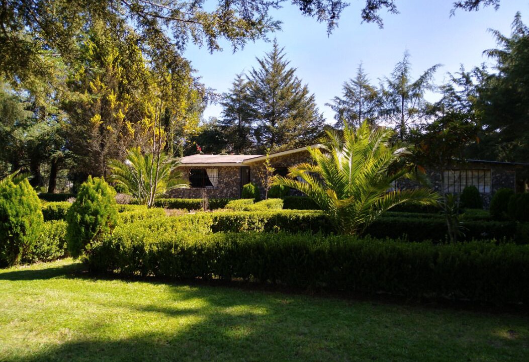 Photo of Outdoor in Huasca De Ocampo