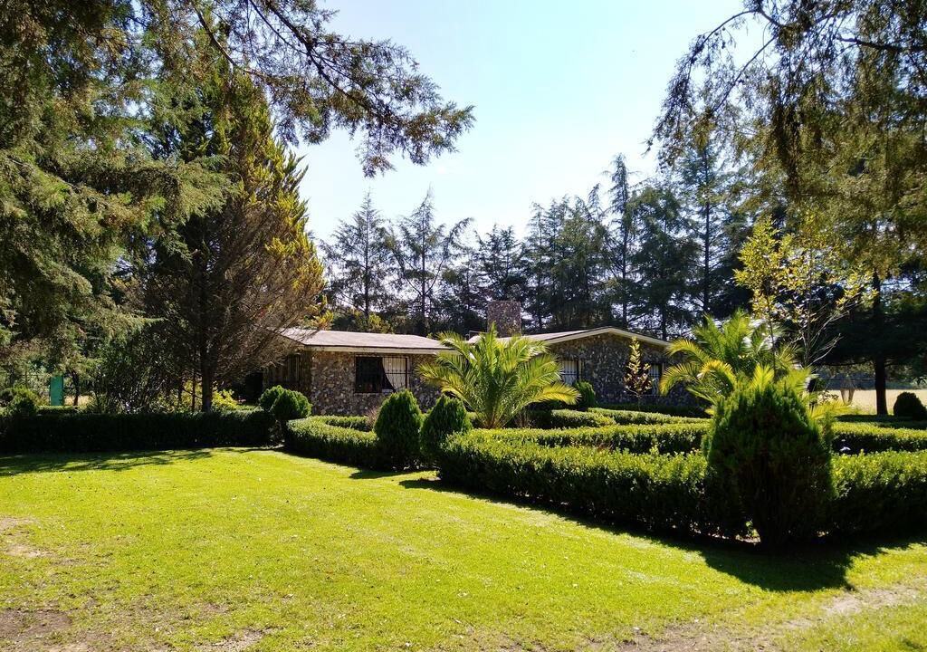Photo of Outdoor in Huasca De Ocampo