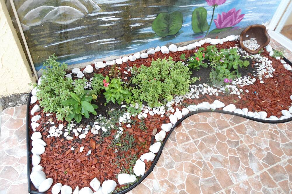 Photo of Outdoor in Tuxtla Gutierrez