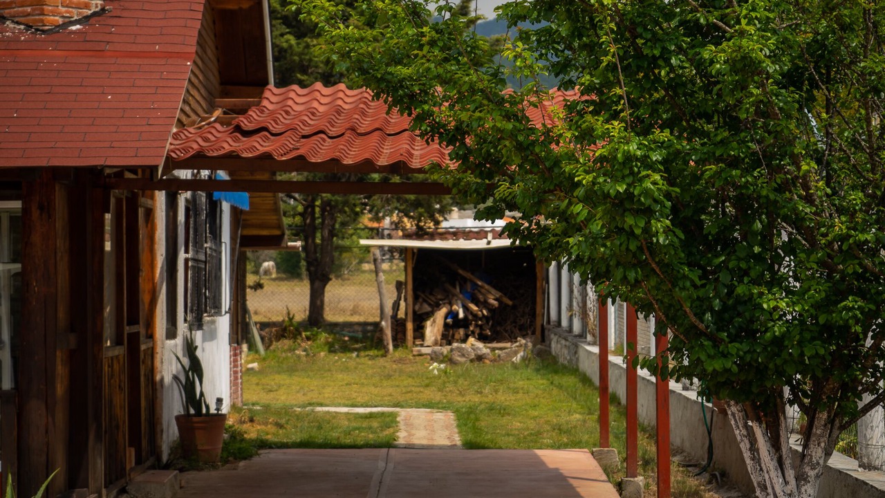 Photo of Others in San Cristobal de las Casas