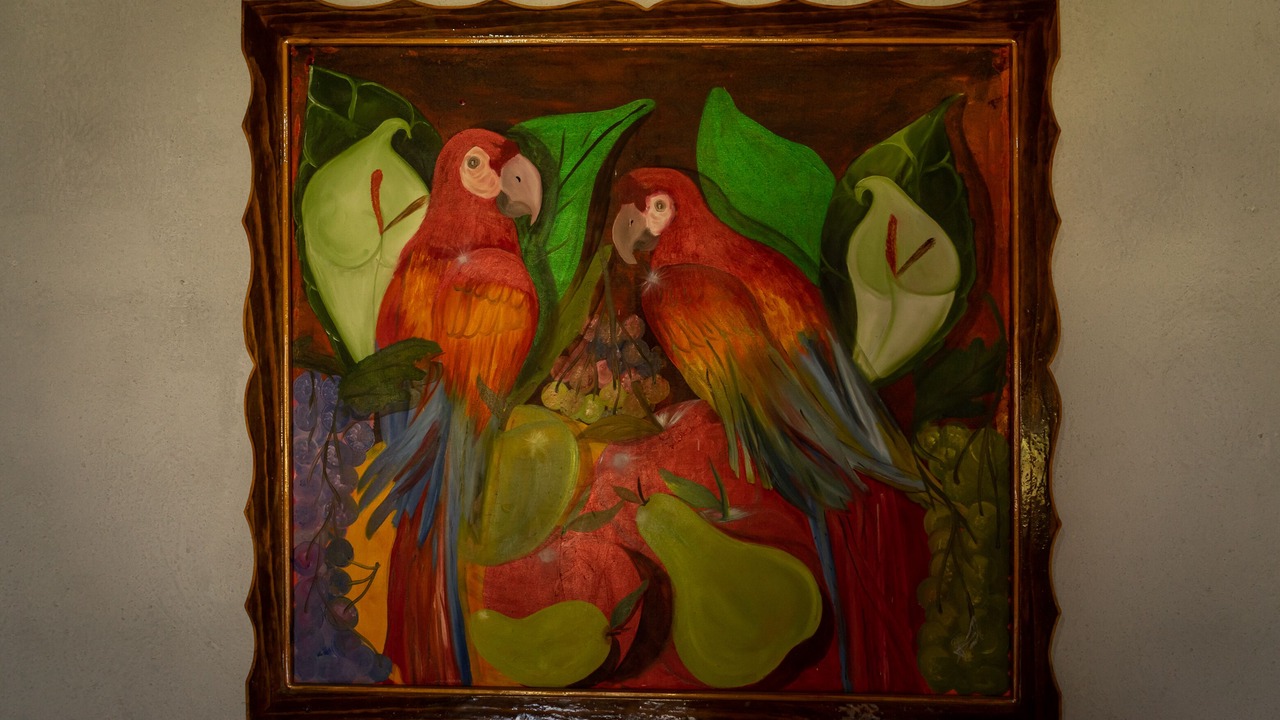 Photo of Others in San Cristobal de las Casas