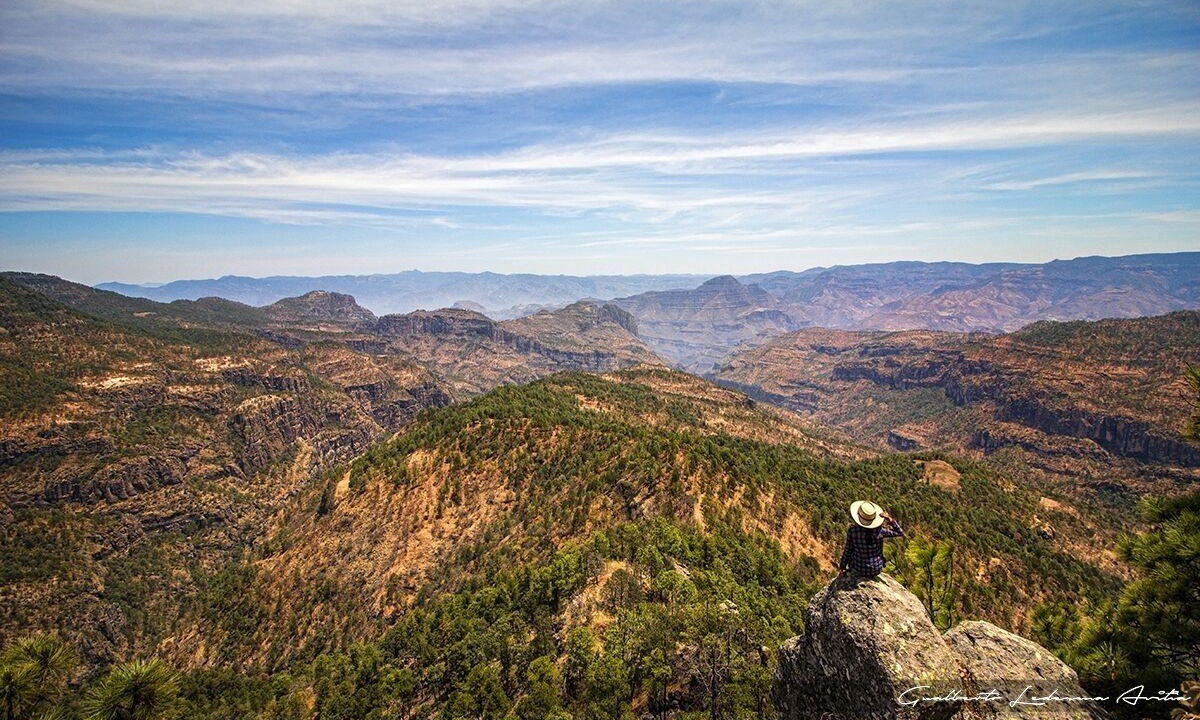 Photo of Others in El Salto