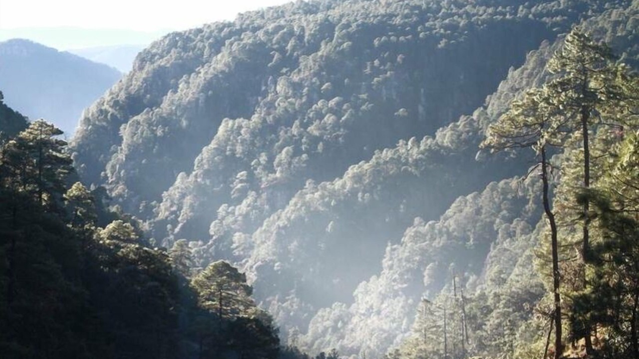 Photo of Others in El Salto