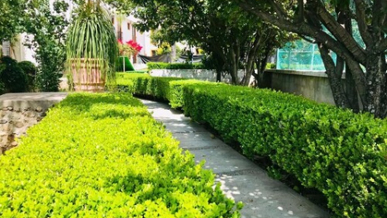 Photo of Outdoor in San Jose Iturbide