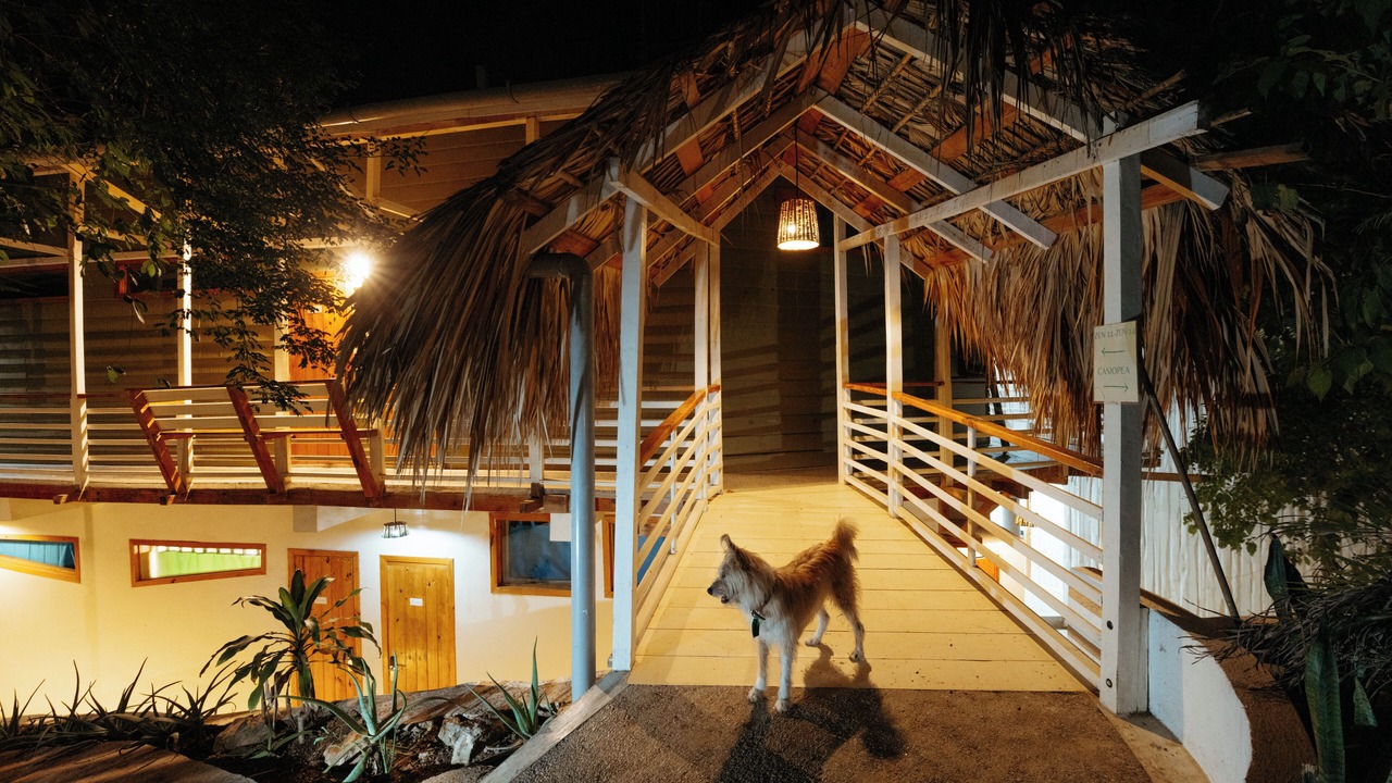 Photo of Others in Mazunte