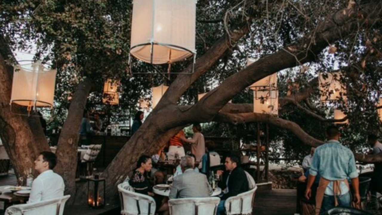 Photo of Others in Valle de Guadalupe