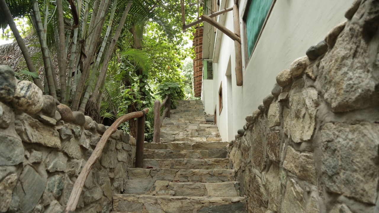 Photo of Others in Puerto Angel